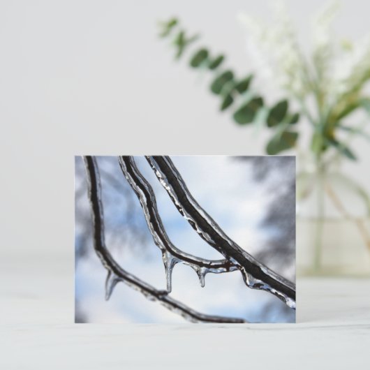 Postkarte für Icy Branches (Stehend Vorderseite)