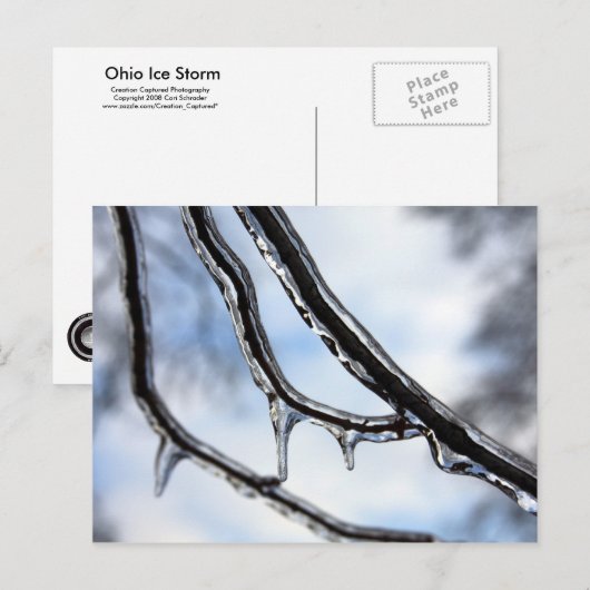 Postkarte für Icy Branches (Vorne/Hinten)