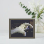 Postkarte für Kinder (Stehend Vorderseite)