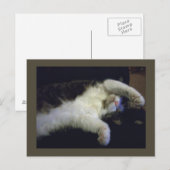 Postkarte für Kinder (Vorne/Hinten)