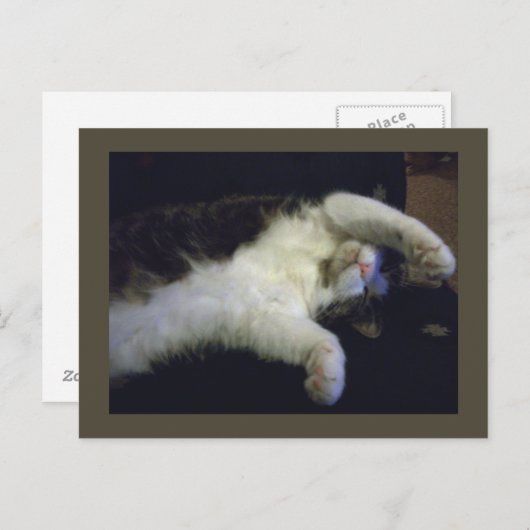 Postkarte für Kinder (Vorne/Hinten)