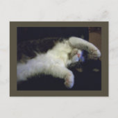 Postkarte für Kinder (Vorderseite)