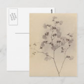 Postkarte für Kirschblüten (Vorne/Hinten)