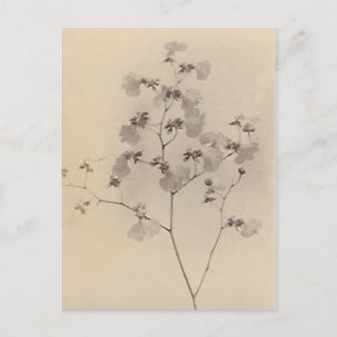 Postkarte für Kirschblüten