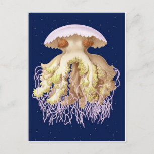 Postkarte für klassische Illustration