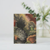 Postkarte für klassische Illustration (Stehend Vorderseite)