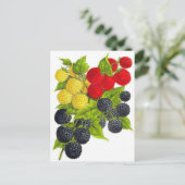 Postkarte für klassische Illustration (Stehend Vorderseite)