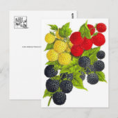 Postkarte für klassische Illustration (Vorne/Hinten)
