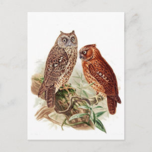 Postkarte für klassische Illustration