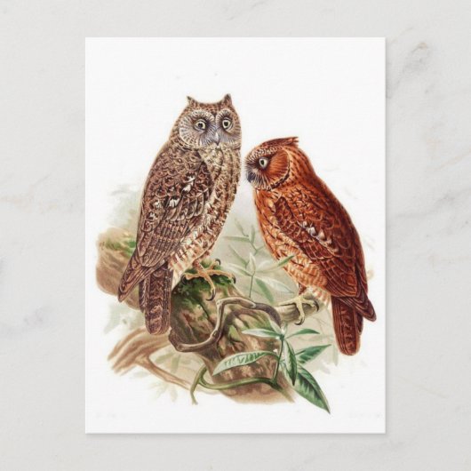 Postkarte für klassische Illustration (Vorderseite)