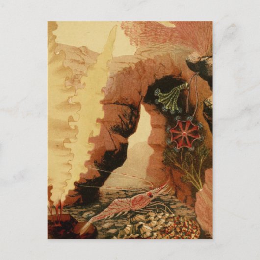 Postkarte für klassische Illustration (Vorderseite)