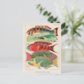 Postkarte für klassische Illustration (Stehend Vorderseite)