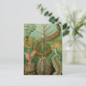 Postkarte für klassische Illustration (Stehend Vorderseite)