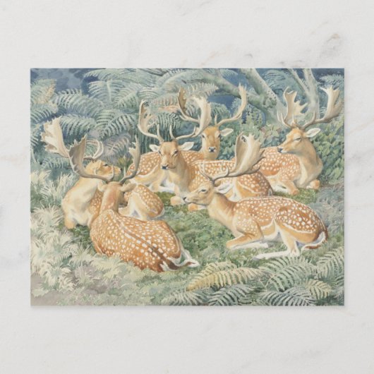 Postkarte für klassische Illustration (Vorderseite)