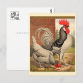 Postkarte für klassische Illustration (Vorne/Hinten)