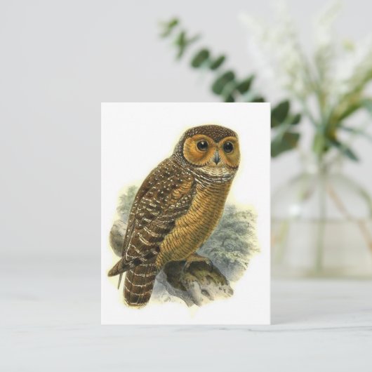 Postkarte für klassische Illustration (Stehend Vorderseite)