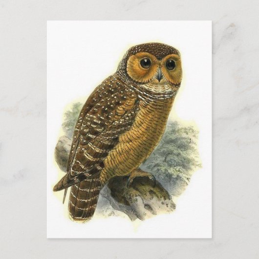 Postkarte für klassische Illustration (Vorderseite)