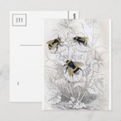 Postkarte für klassische Illustration (Vorne/Hinten)