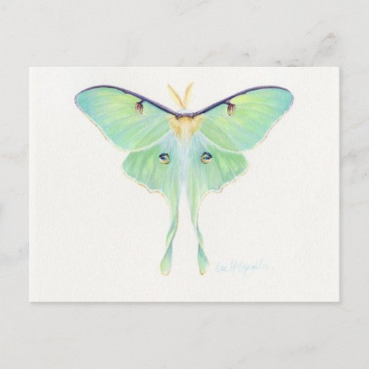 Postkarte für klassische Illustration (Vorderseite)