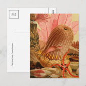 Postkarte für klassische Illustration (Vorne/Hinten)