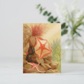 Postkarte für klassische Illustration (Stehend Vorderseite)