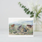 Postkarte für klassische Illustration (Stehend Vorderseite)