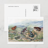 Postkarte für klassische Illustration (Vorne/Hinten)