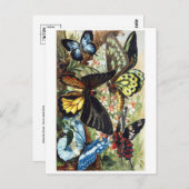 Postkarte für klassische Illustration (Vorne/Hinten)