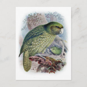 Postkarte für klassische Illustration