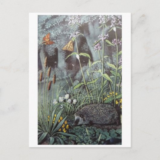 Postkarte für klassische Illustration (Vorderseite)