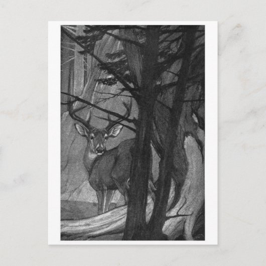 Postkarte für klassische Illustration (Vorderseite)