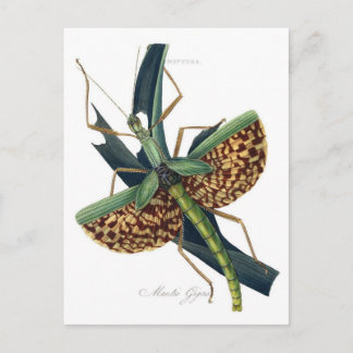 Postkarte für klassische Illustration