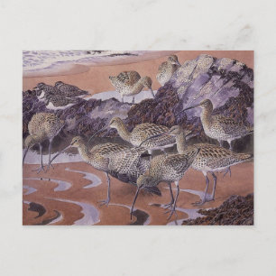 Postkarte für klassische Illustration