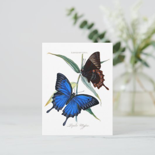 Postkarte für klassische Illustration (Stehend Vorderseite)