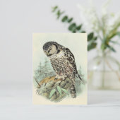 Postkarte für klassische Illustration (Stehend Vorderseite)