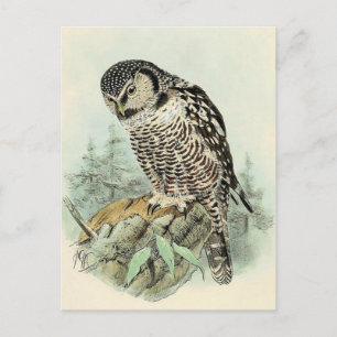 Postkarte für klassische Illustration