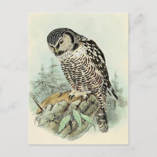 Postkarte für klassische Illustration (Vorderseite)