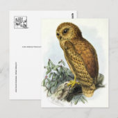 Postkarte für klassische Illustration (Vorne/Hinten)