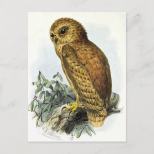 Postkarte für klassische Illustration