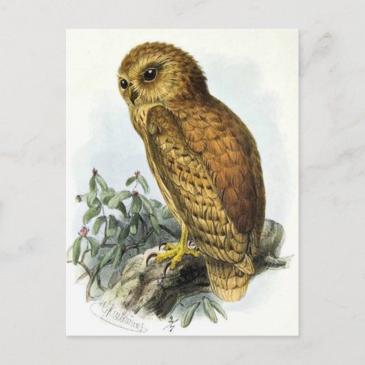 Postkarte für klassische Illustration (Vorderseite)