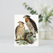 Postkarte für klassische Illustration (Stehend Vorderseite)