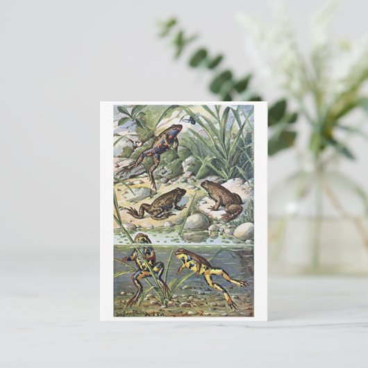 Postkarte für klassische Illustration (Stehend Vorderseite)