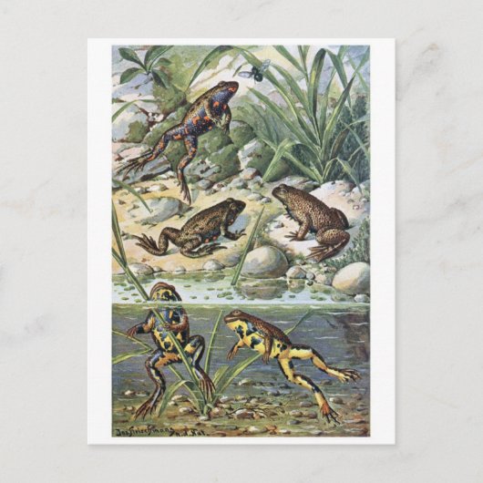 Postkarte für klassische Illustration (Vorderseite)