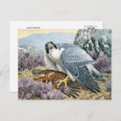 Postkarte für klassische Illustration (Vorne/Hinten)