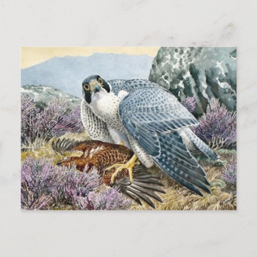 Postkarte für klassische Illustration (Vorderseite)