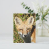 Postkarte für klassisches Foto (Stehend Vorderseite)
