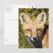 Postkarte für klassisches Foto (Vorne/Hinten)