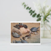 Postkarte für klassisches Foto (Stehend Vorderseite)