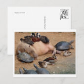 Postkarte für klassisches Foto (Vorne/Hinten)