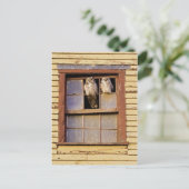 Postkarte für klassisches Foto (Stehend Vorderseite)